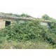 Properties for Sale_Farmhouses to restore_La Casetta in Campagna in Le Marche_2